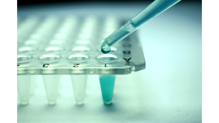 'Biocentrism' & Stem Cell Research
