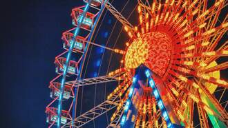 State Fair Announces A Few Acts, More To Come 6/1