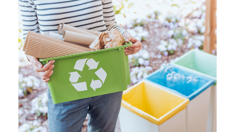 Activist sorting paper waste