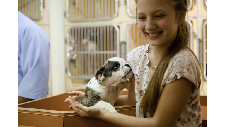At animal adoption centre