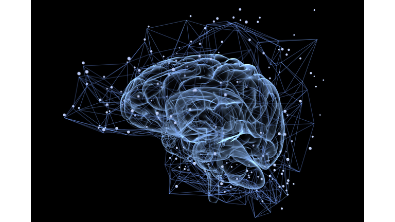 The Brain & Spirituality