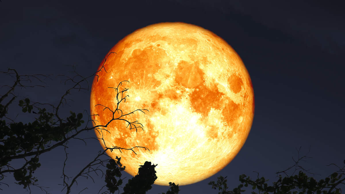 What is the harvest moon, how to watch it? All to know about the supermoon, Explainer News