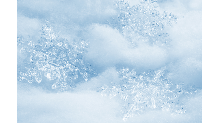 Snowflakes Background