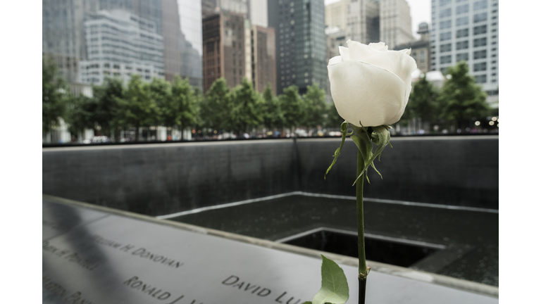 Rose at the 9/11 memorial