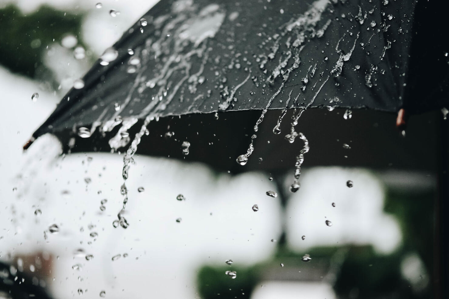 Close-Up Of Raindrops On Plant