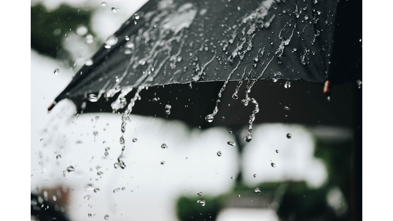 Close-Up Of Raindrops On Plant
