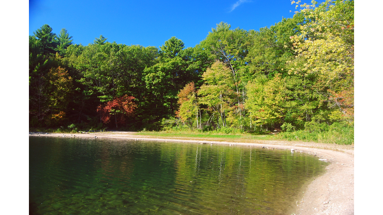 Walden Pond in Concord, Massachusetts, USA.