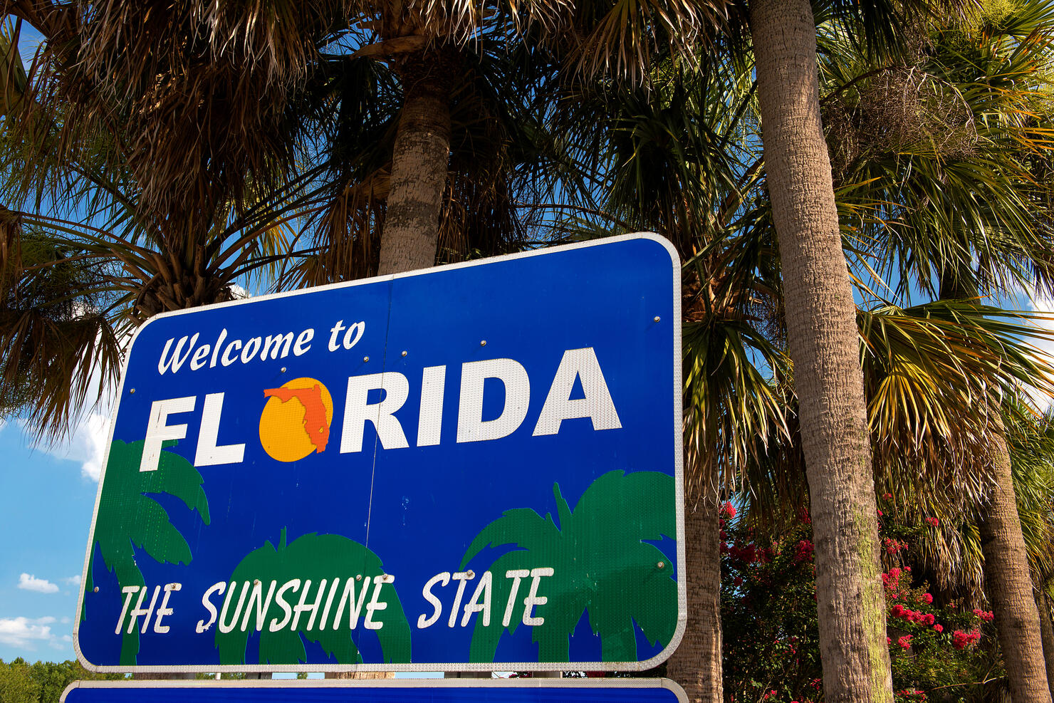 Welcome to Florida sign with palm trees in background