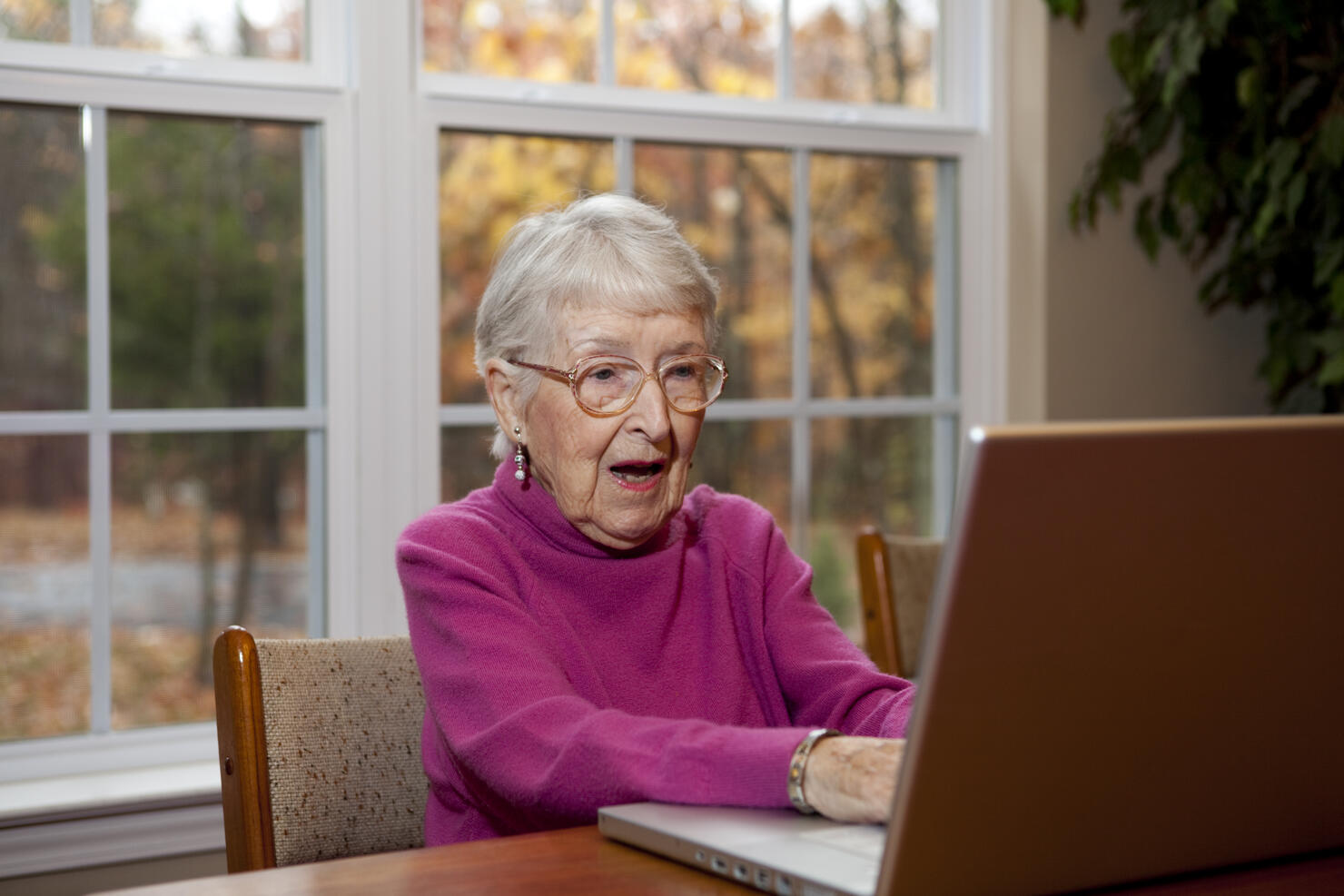 Surprised or Shocked Senior Woman, Grandmother at Computer