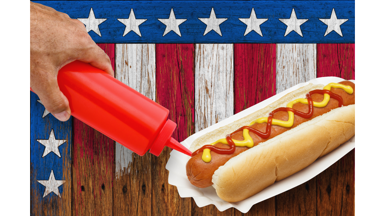 Patriotic Picnic Hotdog