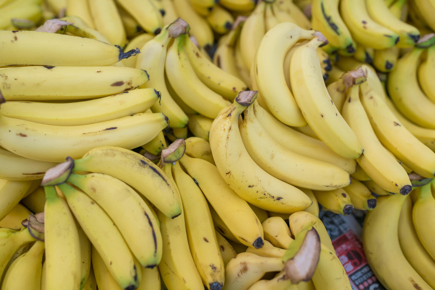 Set of Bananas background