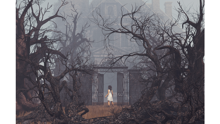 Life in a Haunted House