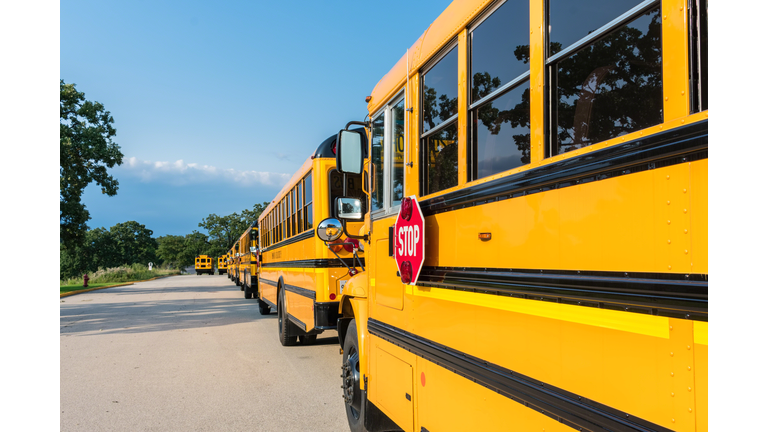 Stop Sigh On School Bus