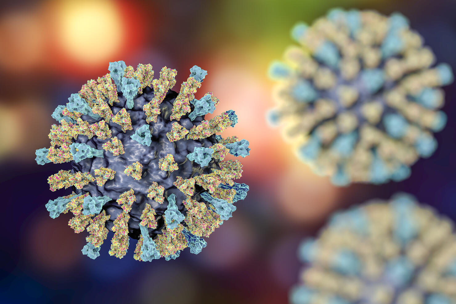 Measles virus, illustration
