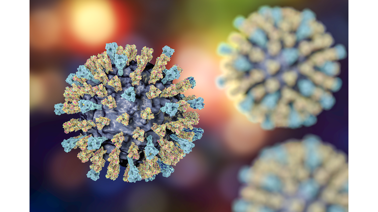 Measles virus, illustration