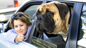 Oklahoma Dog Ozzy Sets Guinness Record With 7.83-Inch Tongue