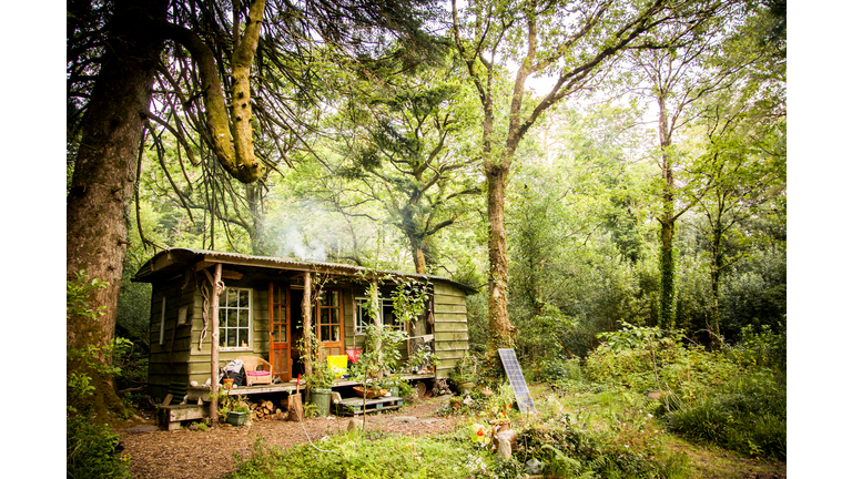 The woman who lives in a log cabin