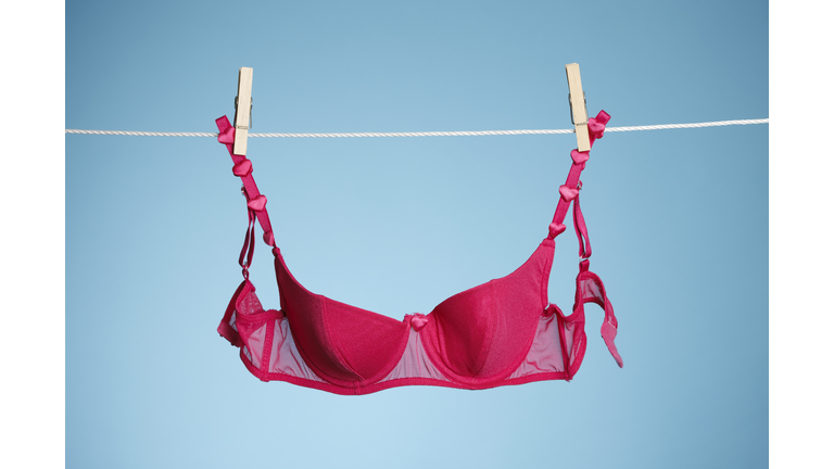 Pink Bra