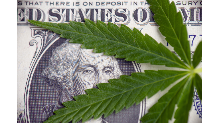 Detail of cannabis leaf over american dollar bill