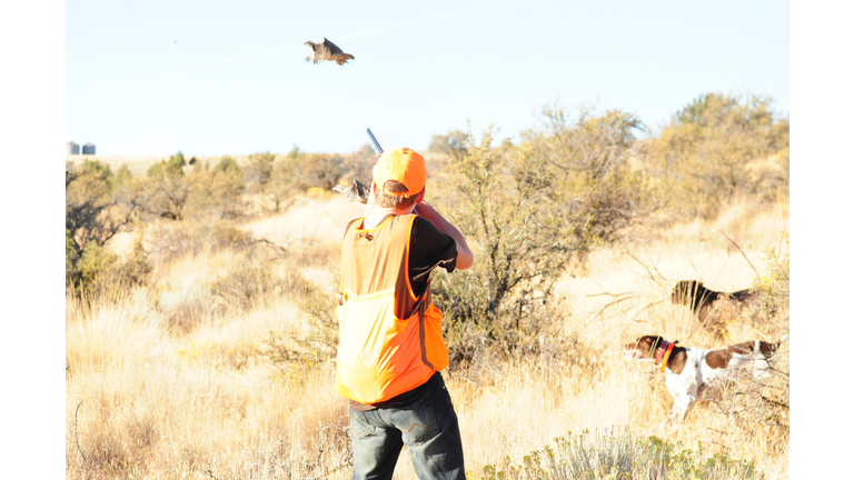 Hunter Aiming Pheasant Flying Over Grassy Field Against Sky