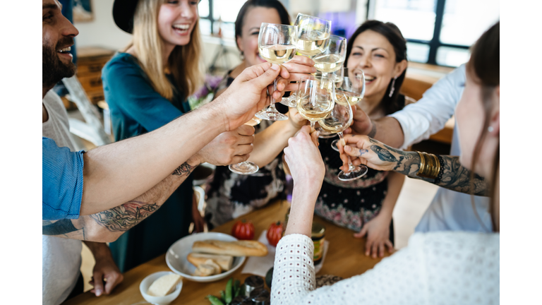 Friends Toasting  at a dinner party