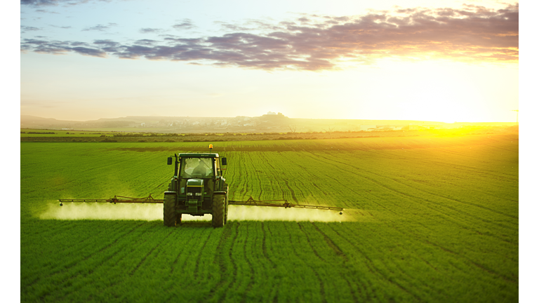 Tractor working in field of wheat