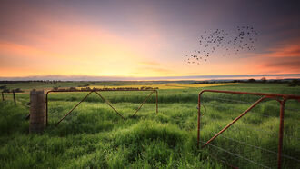 GMO Battle / Otherside Communications