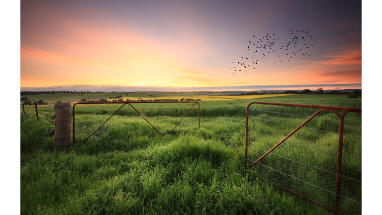 GMO Battle / Otherside Communications