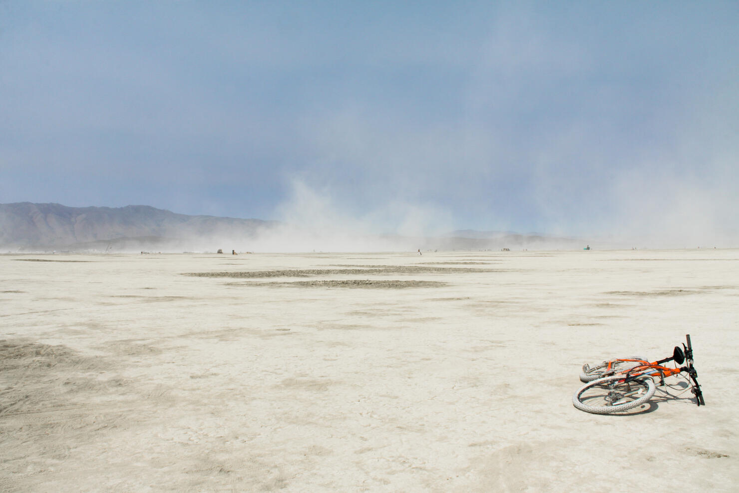 Prehistoric ThreeEyed ‘Dinosaur Shrimp’ Invade Burning Man Site iHeart