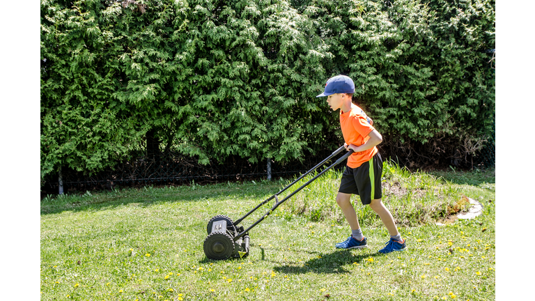 Little boy using manual lawn mower in back yard during summer day