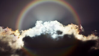 The Afterlife / Open Lines