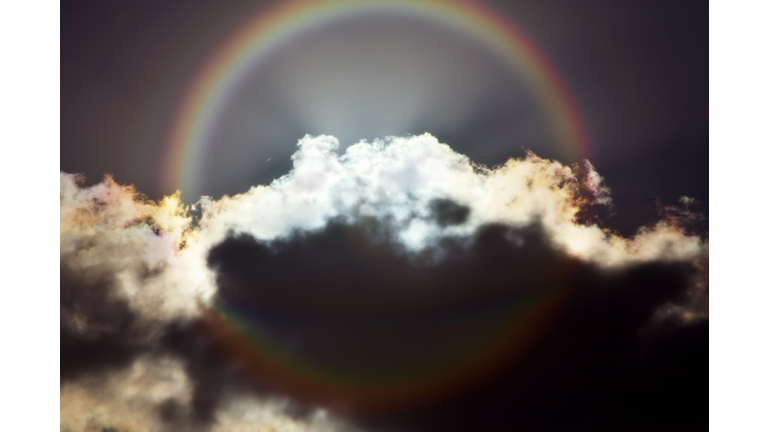 The Afterlife / Open Lines