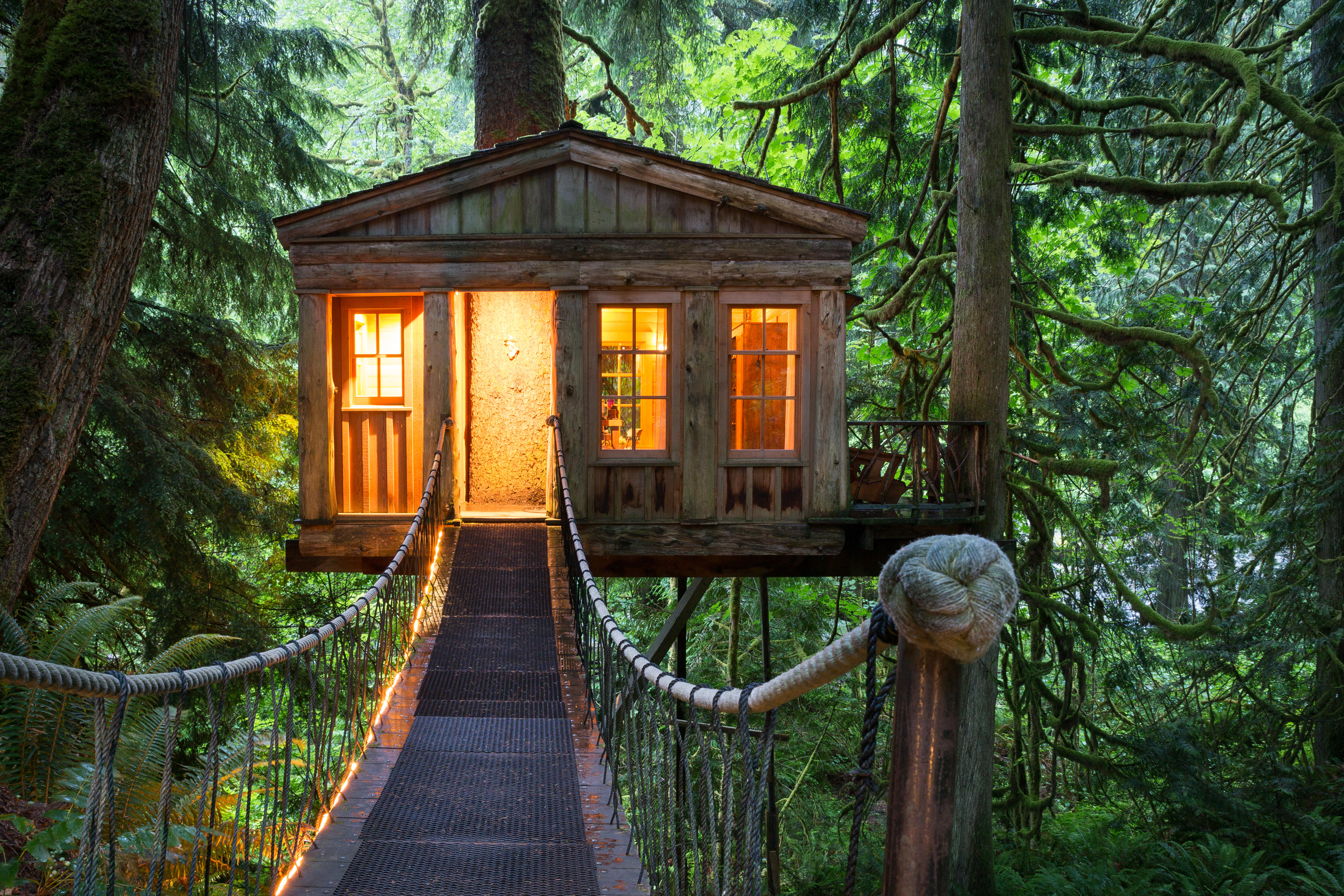 We Are All Under One Wide Sky — The Secret Treehouse