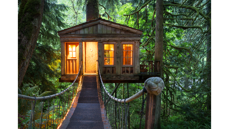 Treehouse