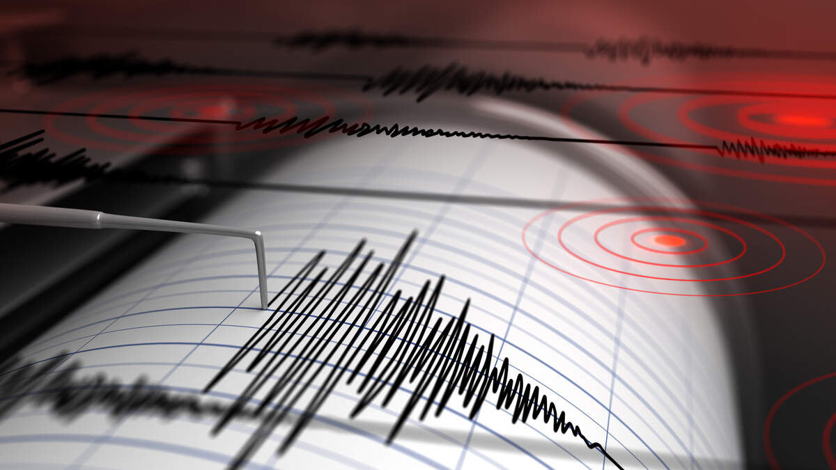 SCEMD confirms Thanksgiving earthquake near Elgin |  bin – black information network