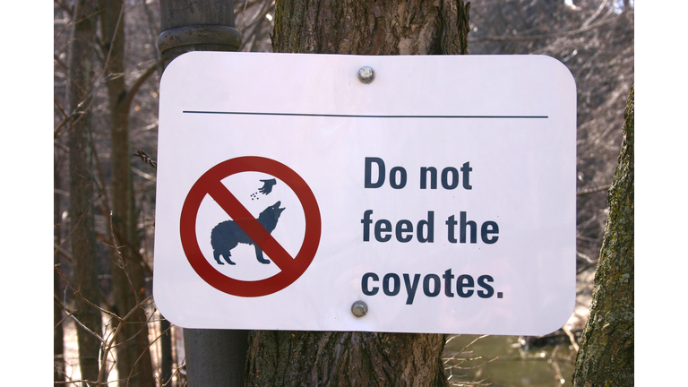 Sign for coyote