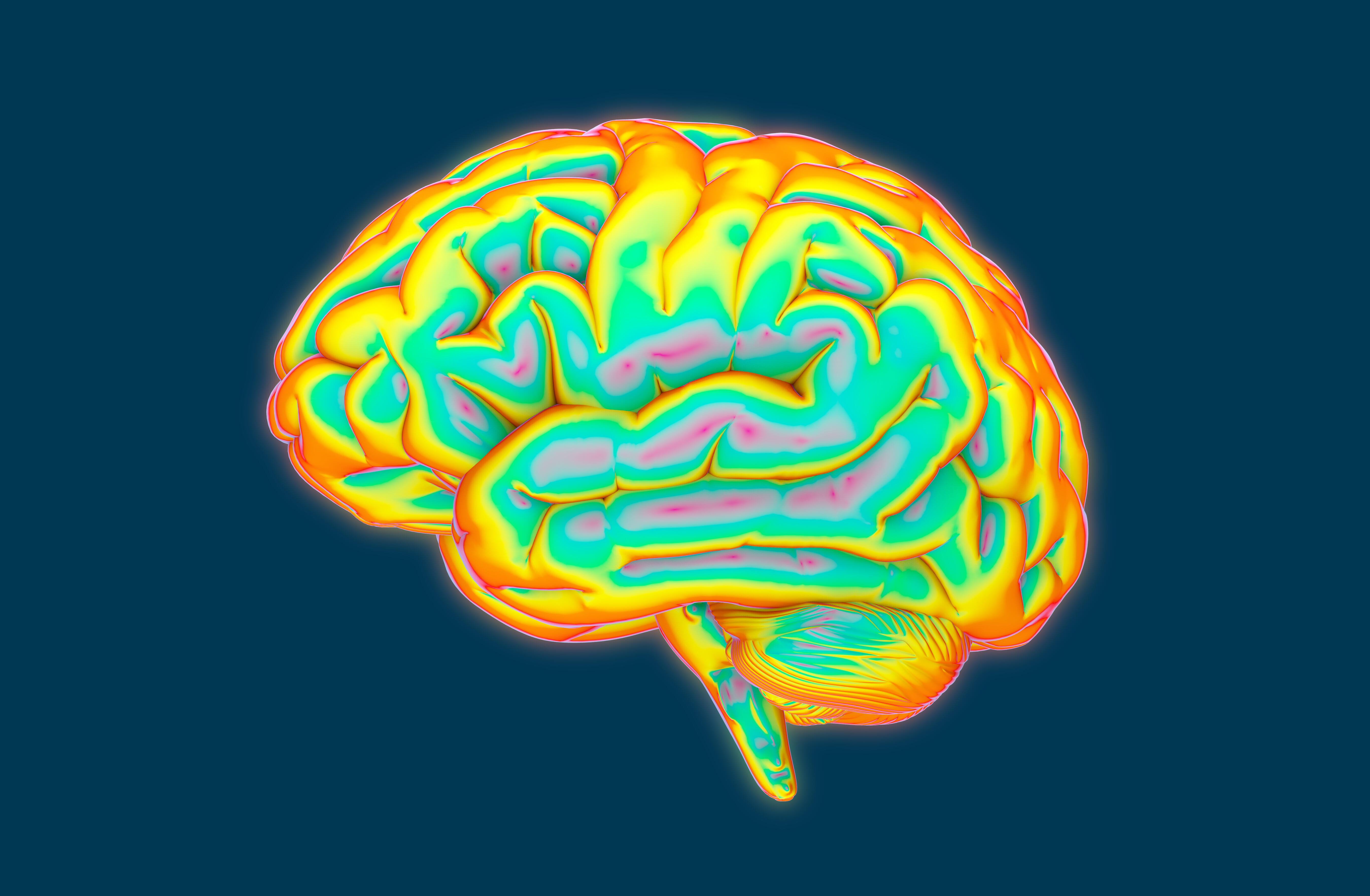 Снижение активности мозга. Разноцветный мозг. Разноцветные мозги.