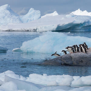 Antarctica