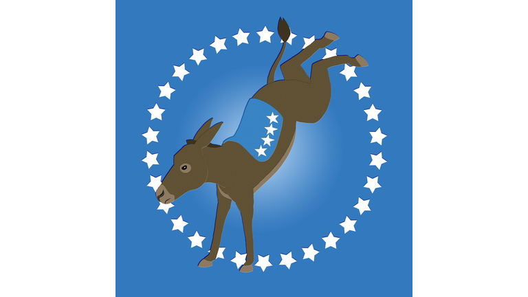 Democrat Donkey Blue, Too
