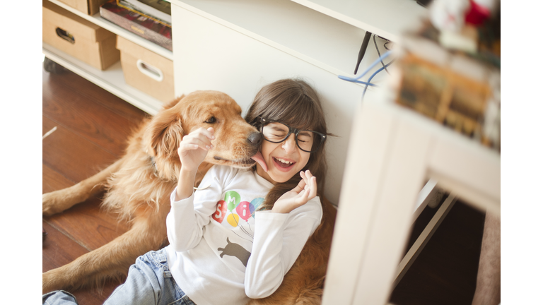 Golden Retriever licking girl's face