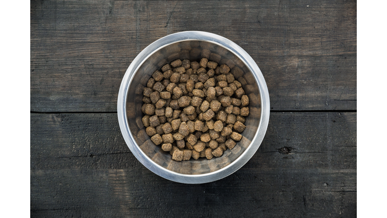 Bowl with dog food