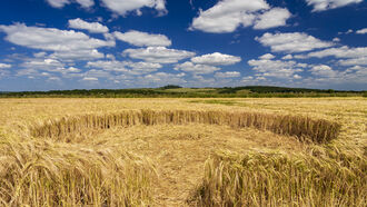 Crop Circles & Resonant Viewing