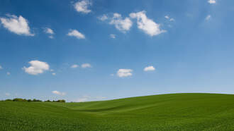 Iowa 2024 Farmland Values Dip