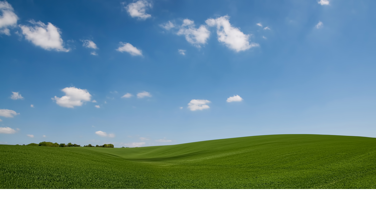 Rolling hill green crops