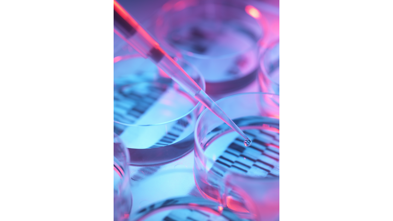 Pipetting sample into tray for DNA testing