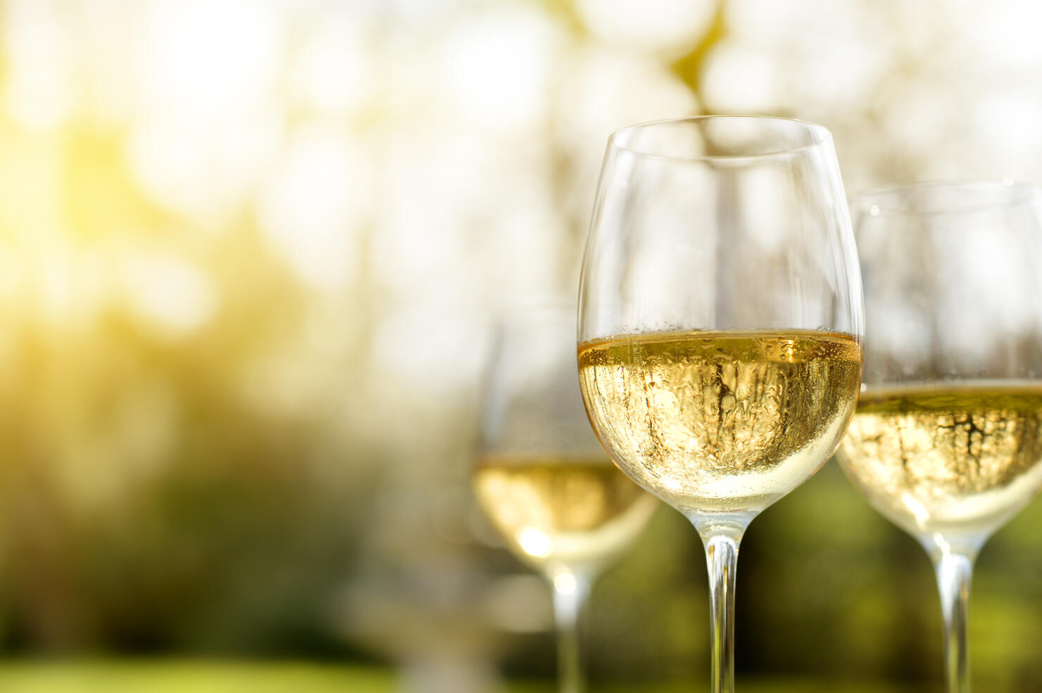 Late Summer Wine