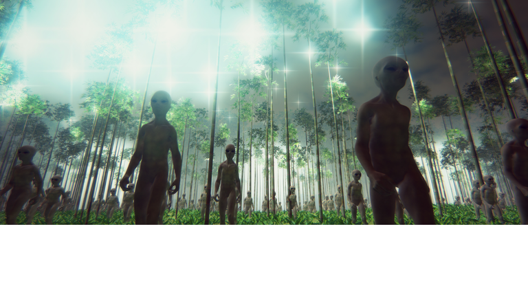 Brazilian UFO Encounters