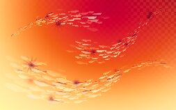 Contamination, Fish Deaths, & Alien Abduction