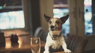 Happy National Coffee Day!