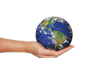 Extinctions & Climate Change